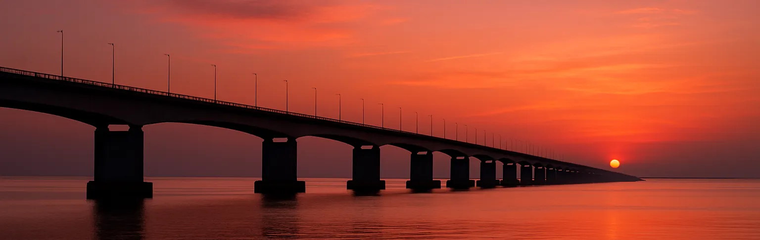 Einzelner Baum auf Grashügel bei schönem Wetter mit blauem Himmel, Slogan über das ganze Bild in weißer Schrift, Starke Wurzeln in stürmischen Zeiten